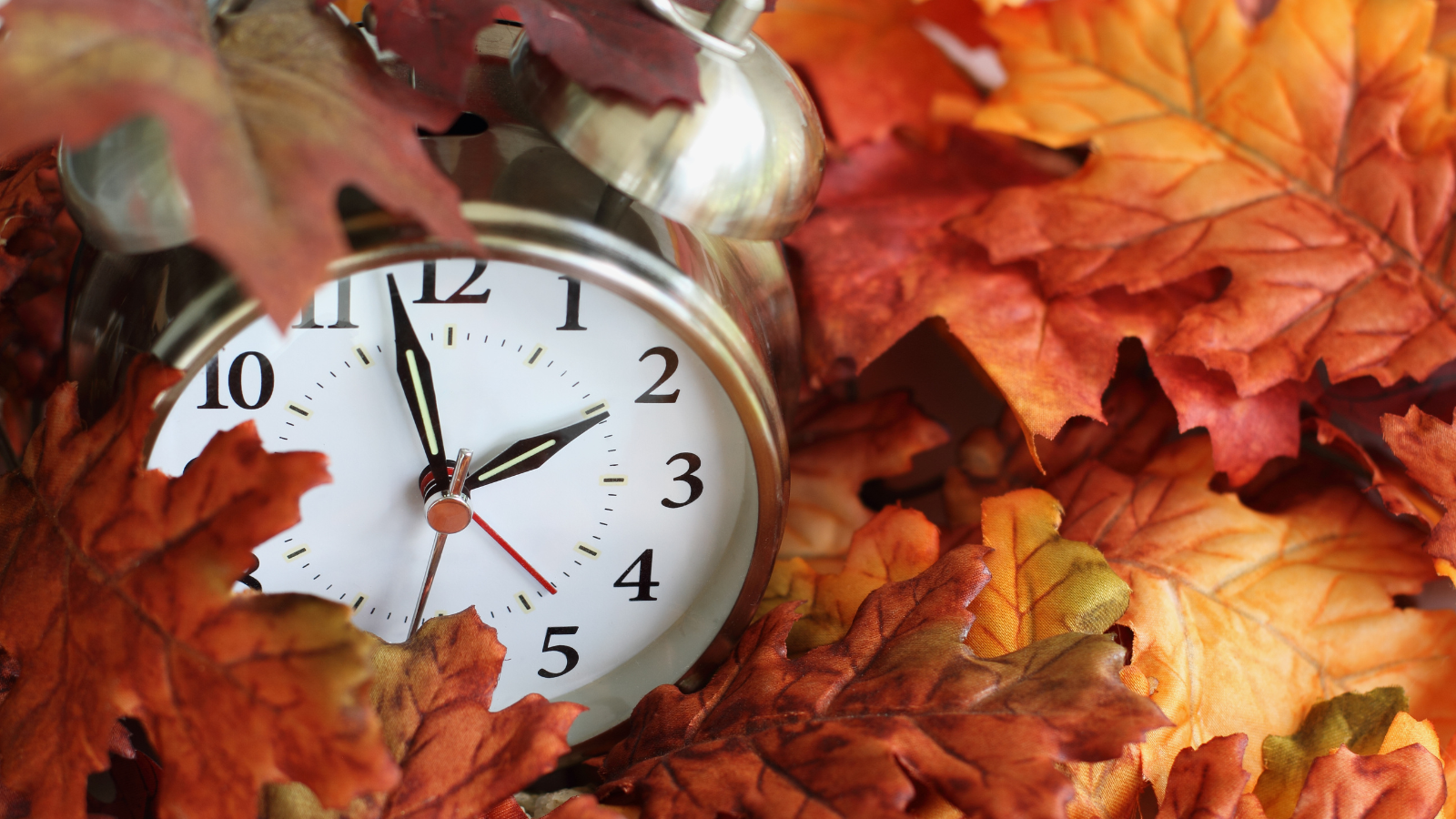 Daylight Savings Time 2024 Schedule Gerrie Roselle